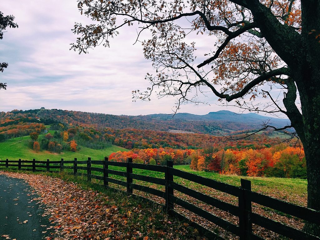 View in Virginia