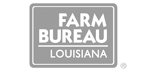 Farm Bureau Louisiana Auto Insurance