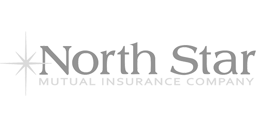 North Star Auto Insurance